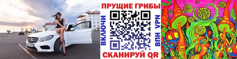 сколько стоит Железноводск Галлюциногенные грибы Psilocybine cubensis