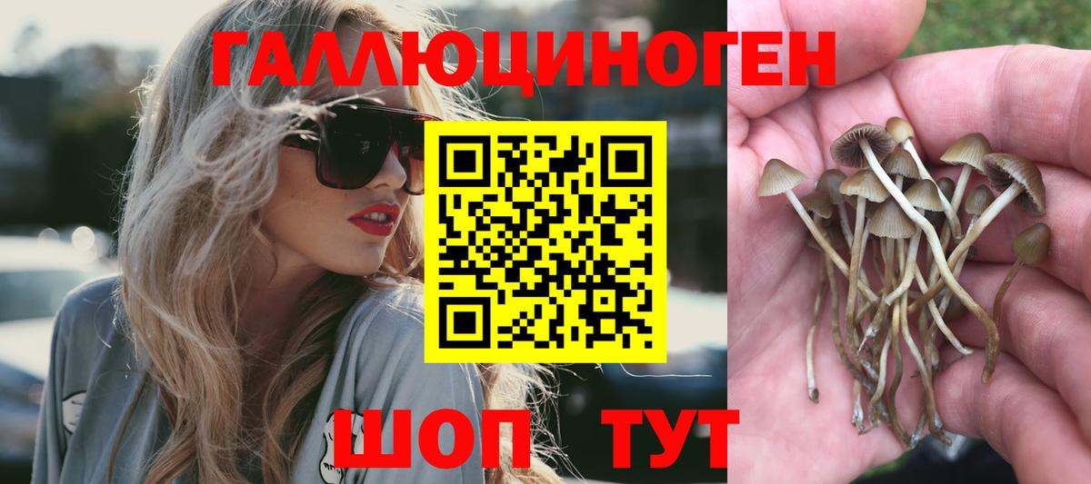 Псилоцибиновые грибы Cubensis  Псилоцибиновые грибы Psilocybine cubensis  Вход с VPN  Железноводск 