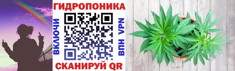 где найти наркотики  Железноводск  Бошки Шишки SATIVA & INDICA 